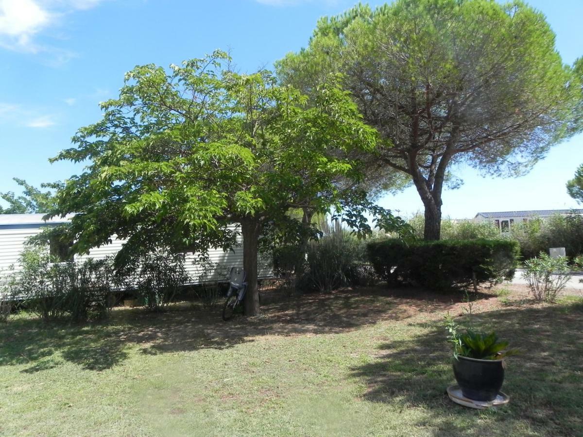 Campsite Mobil Home Dans Camping Lattes 4*